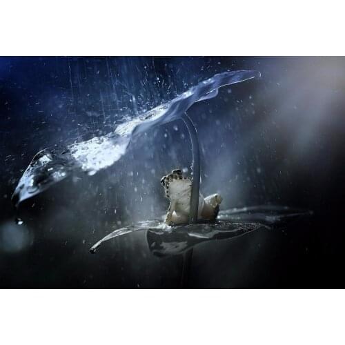 5D DIY Full Diamond Painting Frog Rain Diamond Mosaic Diamond Drawing Square Diamond Embroidery Cross Stitch Decoration Gift