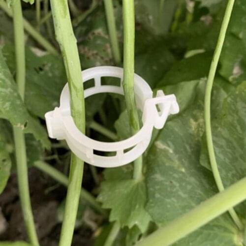 100Pcs Plant Support Clips Labor-saving Long Lasting Plastic Hanging Vine Fixing Clips for Home