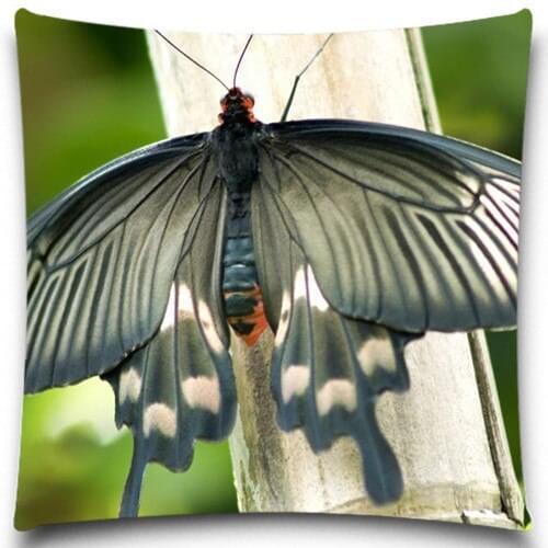 Square Cushion cover Cotton polyester Animals Butterfly Pattern bedroom/chair/car/sofa seat 16 18 20 inches 9 style