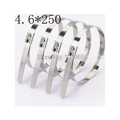 100PCS 4.6*250mm 4.6x250mm stainless steel zip CABLE TIES LOCK TIE WRAP