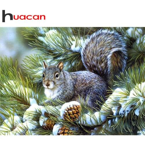Huacan 5D DIY Diamond Painting Squirrel Full Square/Round Diamond Embroidery Mosaic Animal Decorations Home