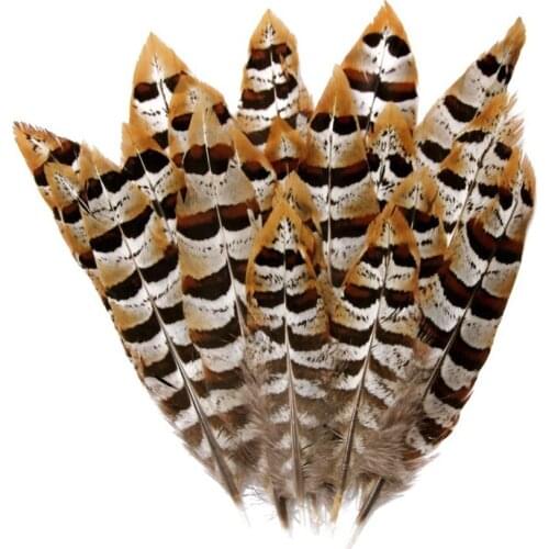 Reeves Venery Pheasant Tail Feathers 5-15cm/2-6" Campanula Decor Clothing Feathers for Crafts Jewelry Making Decorative Plumas