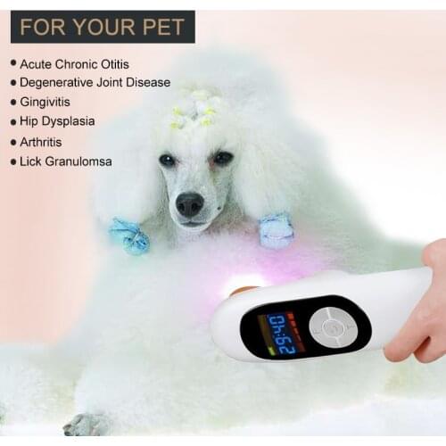 Clinic Veterinary Equipment Dogs Horses Cold Laser Pain Relief 808nm Diode lllt Animal Wound Healing Treatment Health Care