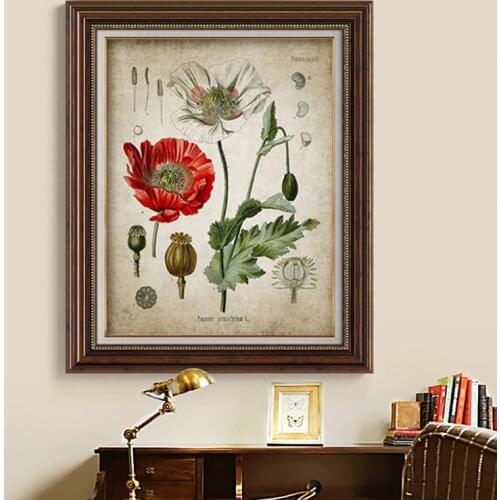 Vintage Botanical Posters Poppy Coca Recreational Drug Plant Wall Art Prints Pharmacy Decoration Painting Medical Gift