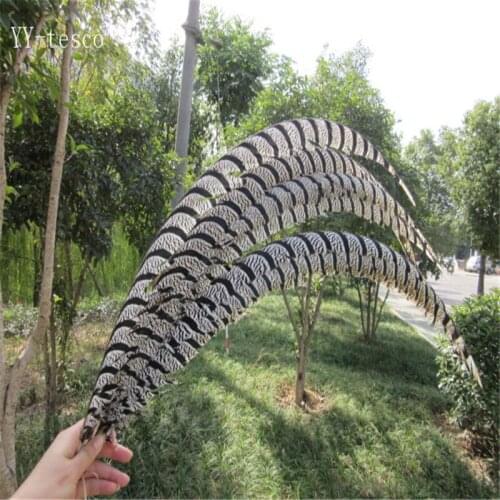 20pcs 32-36 inche/80-90cm natural Lady Amherst Pheasant Feather pheasant feathers for carnival party costumes cosplay decoration