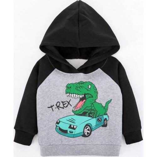 Spring Toddler Boys Girls Cartoon Dinosaur Hoodies Sweatshirt Kids Cotton Fleece Pullovers Baby Girls Outfits Boys Clothes Tops