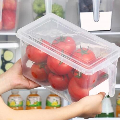 Rectangular Food Storage Container with Handle PP Refrigerator Fruit Storage Box for Home