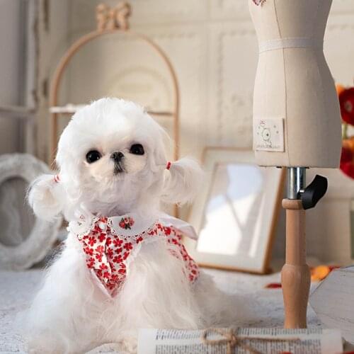 Doggie Puppy Cat Dog Dress Summer Chihuahua Clothes Yorkshire Pomeranian Shih Tzu maltese Poodle Bichon Small Dog Clothing Skirt