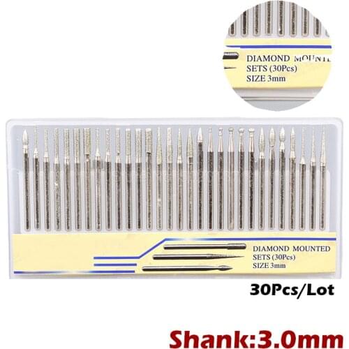 30Pcs 3MM Shank Jade Carving Diamond Grinding Needle Set Drill Head Bur Bit Rotary Shank Burr Grinder Woodworking Jewelry Tool