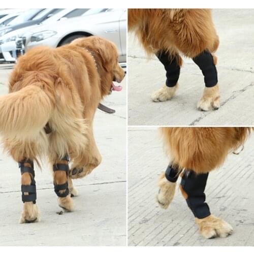2PCS /Pair Dog Leg Protection Brace Prevents Injuries Front Leg Brace Paw Compression Wraps With Protect Wounds Brace Heals