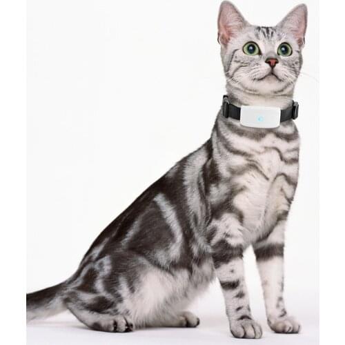 Real time Wifi GPS Tracker TKSTAR TK911 for Pets Tracking Device GPS Locator long standby 500mAh Free Web/APP Tracking no box