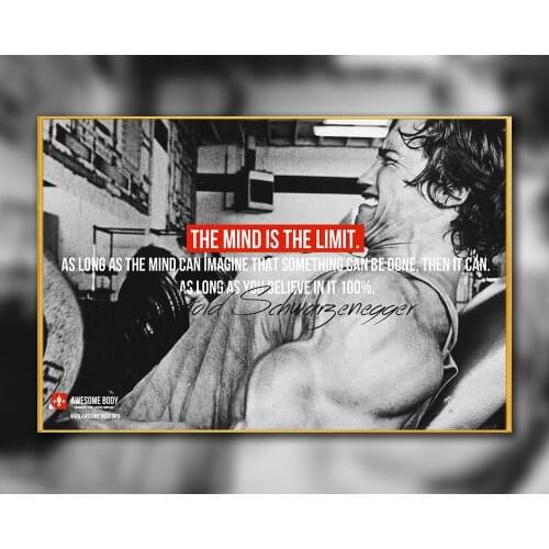 23 Custom Poster Silk Home Deco ARNOLD SCHWARZENEGGER Bodybuilding Motivational Gigantic Strong Wall Art Christmas Gift
