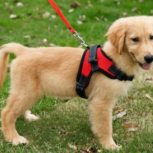 Adjustable Durable Dog Harness Dogs Training Harness Explosion-proof Pet Vest Chest Strap For Medium Large Dog