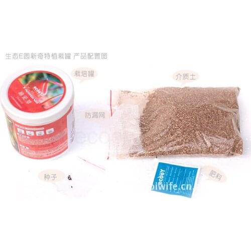 Strange new planting pot potted wholesale DIY creative office potted plant M. buster Desktop Fun