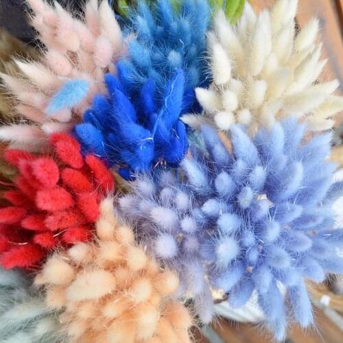 50 Pcs Dried Flower Grass Decoration Photography Props for Home Store Wedding AUG889