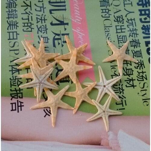 Sea star 100 /piece natural small starfish starfish micro mini flower decorative landscape1.5-2.5CM natural crafts party