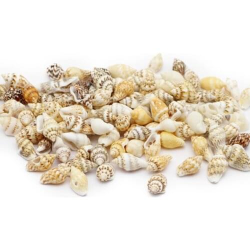 Natural Sea Shells Printing Shell Decoration For Jewelry Making Diy Crafts 7*14mm Coquillage Beach Decor Accessories