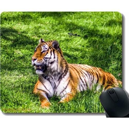 Mouse Pad Anti-Slip,Tiger Predator Lies Big Cat Grass 116276 Mouse Pad Mat