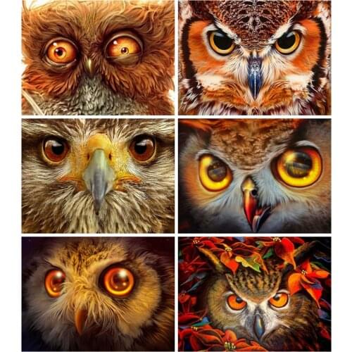 Huacan Diy Diamond Painting Owl Full Square/round Diamond Embroidery Mosaic Animal Eagle Wall Stickers
