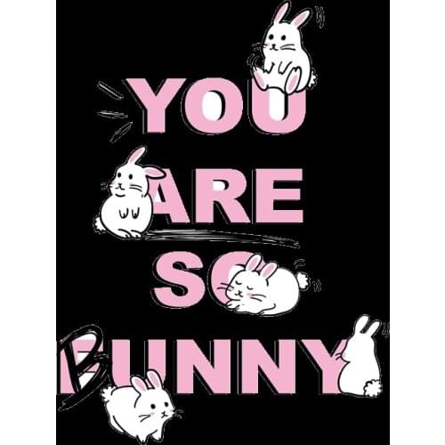 You Are So Bunny Letter Iron On Clothes Cute Rabbit Stickers Heat Transfer Parches T-shirt Dresses Badges Washable DIY Stickers