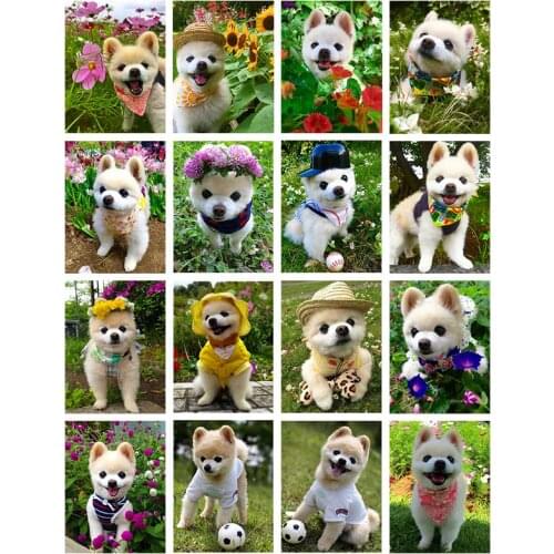 5D DIY Diamond Painting Cross Stitch Diamond Embroidery Animals Cute Dog Sale Rhinestones Art Gift Bead Picture Kits Wall Decor