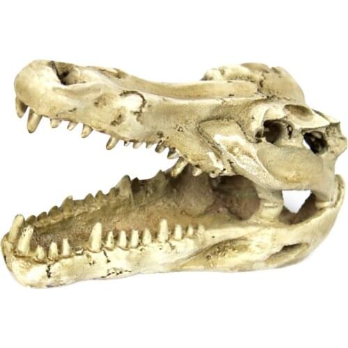 1 Pcs Dragon Resin Aquarium/Terrarium Decoration Crocodile Skull For Fish Tank Resin Ornament Decorate Terrarium DIY Landscaping