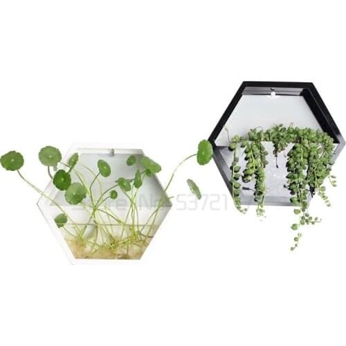 Restaurant wall decoration wall pendant hydroponic plant green pineapple creative wall hanging flowerpot wall green plant