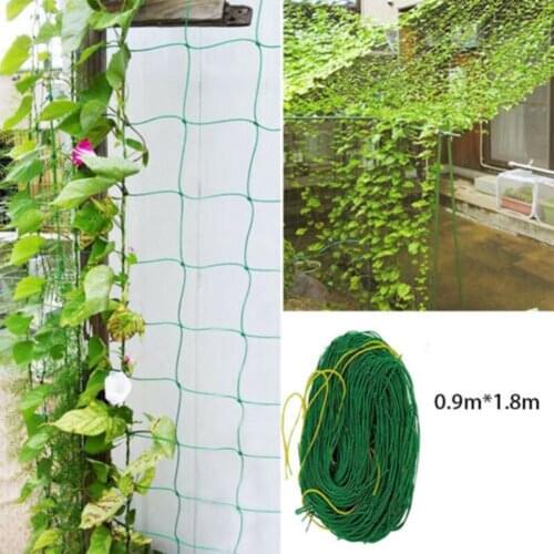 Garden Net Climbing Plant Plastic Support Mesh Clematis Pea Bean Trellis CFE