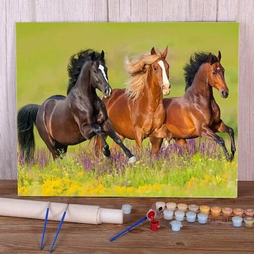Animal Horse Flower DIY Painting By Numbers Complete Kit Oil Paints 50*70 Picture By Numbers Photo Paintings Crafts Art
