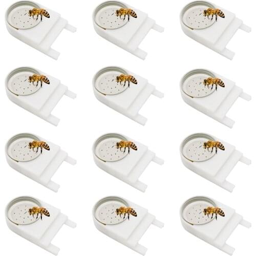 12 Pcs Bee Drinker Beehive Entrance Water Feeder Beekeeping Tools Cap Water Drink Feeding Beekeeper Equipment