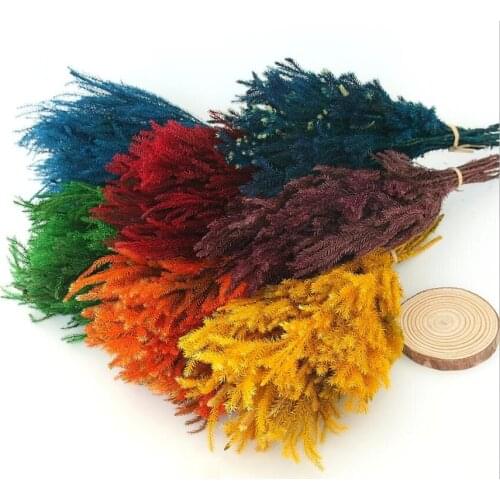 2 Bundles Preserved Flower Lycopodium japonicum Branch For Flower Arrangement Wedding Christmas Party Home Garden Decoration