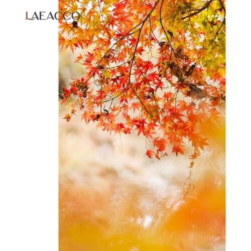 Laeacco Autumn Fallen Golden Leaves Trees Photocall Hazy Real Scene Backdrop Photographic Backgrounds Baby Portrait Photo Studio