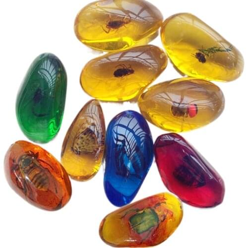 1pcs Creative Simulation Insect Amber Pendant Fashion Home Decoration Crafts Exquisite Resin Artificial Animal Miniatures Random
