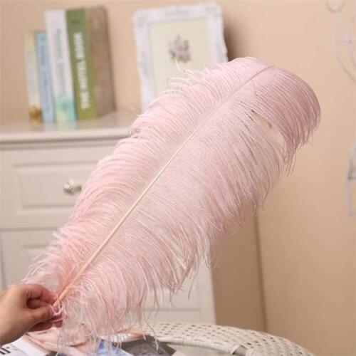 Big Pole Ostrich Feathers Leather Pink 35--70cm For Wedding Stag Home Office Table Decoration Accessories Crafts 5/10pcs Plumes