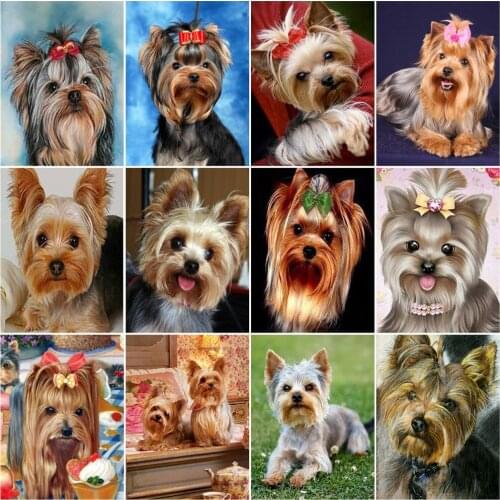 AZQSD Oil Painting By Number Dog Animal Drawing On Canvas Pictures By Numbers For Adults Handpainted Modern Wall Art