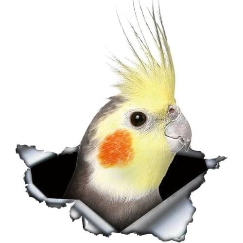 Realistic 3D Visual Personalized Fashion Stickers Used for Car Motorcycle Wall Furniture Waterproof Vinyl KK PVC 13cm X 11.3cm