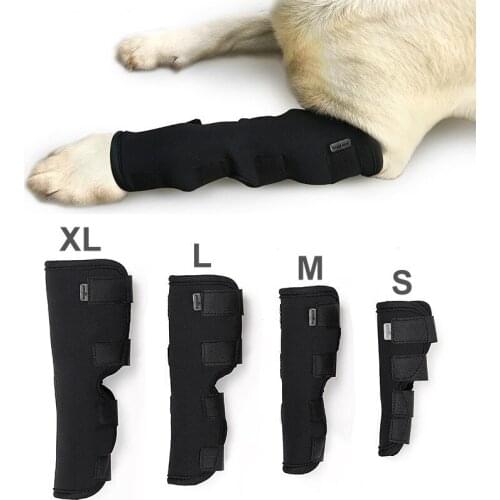 Dog Legs Brace Injury Anti-lick Arthritis Fixation Restoration Auxiliary Strap Front Short Leg Wrap Support Sheath