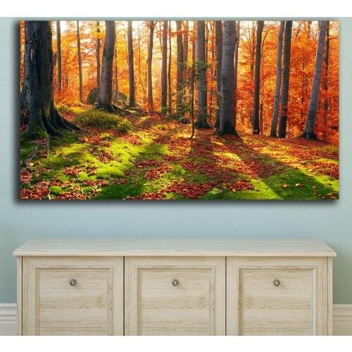Landspace wall art Forests Autumn Trunk tree Canvas Painting For Living Room Home Decor Oil Painting On Canvas Wall Painting