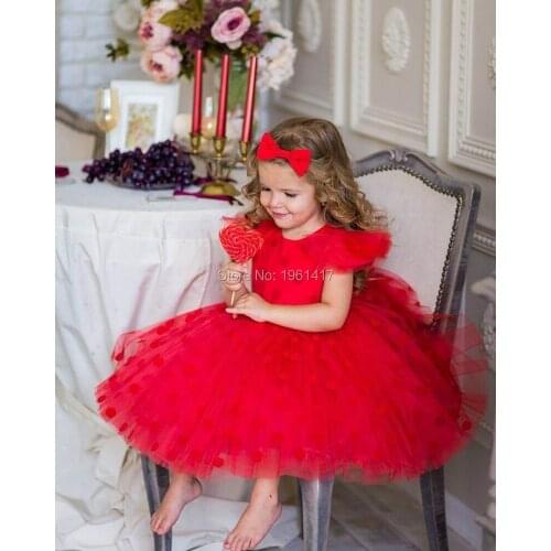 Little Girls Pageant Dresses Lace Dot Cap Sleeve Ball Gown Flower Girl Dress For Wedding Kids Formal Wear AG0140