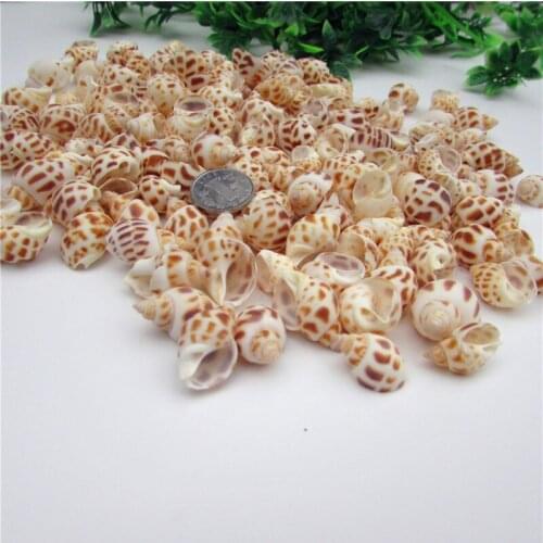 HappyKiss Small dongfeng screw flower spiral small diy handmade materials adrift bottle fish tank natural conch