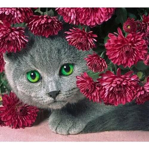 Diamond Embroidery Full Square Cat Picture New Diamond Painting 5d Mosaic Art Animals Cross Stitch Kit Home Decoration Painting