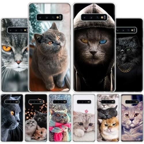 British Shorthair Cat Cover Phone Case For Samsung Galaxy A51 A71 A70 A50 A40 A30 A20E A10S A41 A21 A01 A6 A7 A8 A9 Plus Coque