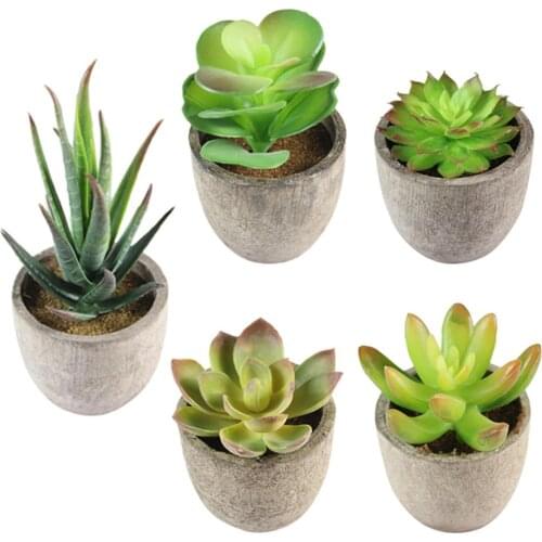 Artificial Succulent Plants Mini Bonsai Home Desktop Courtyard Simulation Fake Plants Decoration Landscape Ornaments