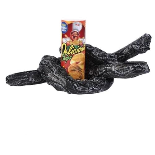 Snake in can Prank Props Potato Snake Potato Chip Funny Tricky Toys Can Jump Fake Snake April Fool Day Halloween Party
