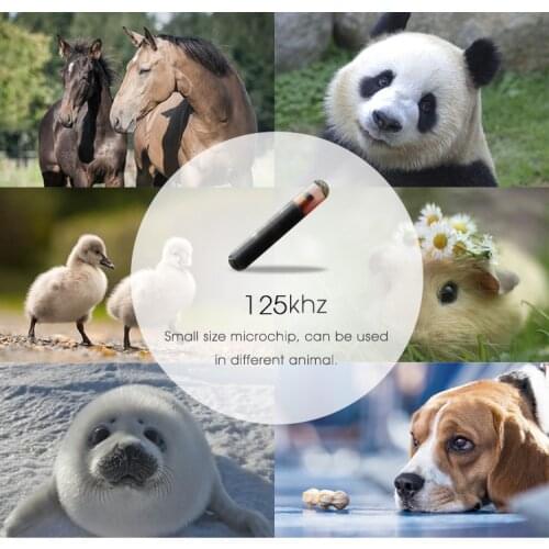 X20 NFC chip glass tag 13.56Mhz RFID Ntag216 animal microchip for implantation