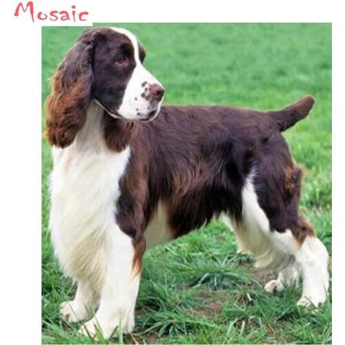 Diamond Embroidery,English Springer Spaniel Diamond Painting,Full,Animal,3d Cross Stitch,Diamond Mosaic,Square,Rhinestone arts