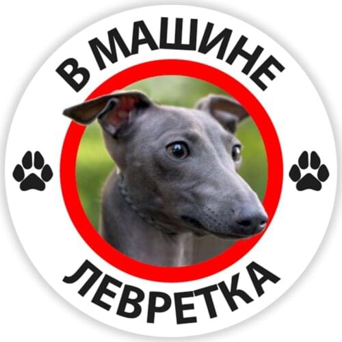 B0217 Self-adhesive Decal Greyhound in the Car Car Sticker Waterproof Auto Decors on Bumper Rear Window