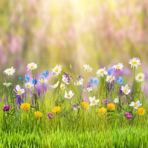 Laeacco Green Spring Flower Floret Grass Shine Wallpaper Scenic Photographic Backgrounds Photography Backdrops For Photo Studio