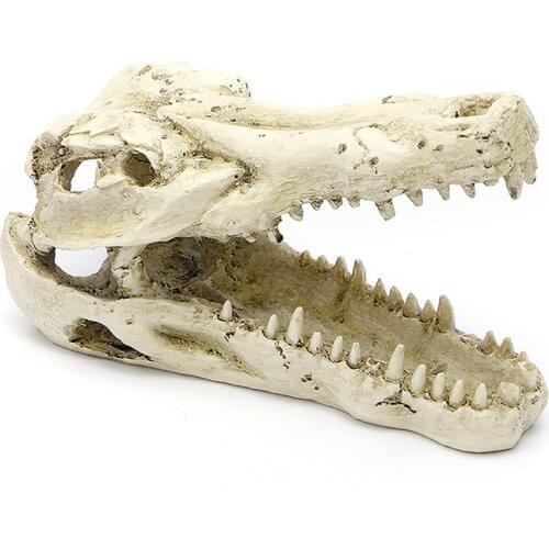 5" Crocodile Skull Artificial Decor Ornament Decoration for Aquarium Fish Tank W215