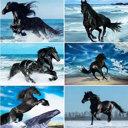 EverShine Full Square Diamond Painting Horse 5D DIY Diamond Embroidery Kit Animal Seasaid Needlework New Arrival Handmade Gift